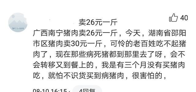 广西猪价一飞冲天，本以为养猪户会大赚一笔，谁料都在考虑转行