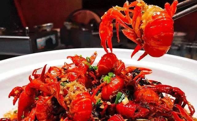 一起出发吧为什么看不了