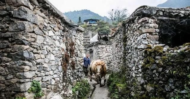  「买房子」十年前，农民赚钱就回村子建房子，现在在城里买房子，农村会消失吗？