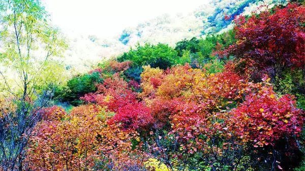 秋日里，山西20处绝美赏秋胜地美的像仙境