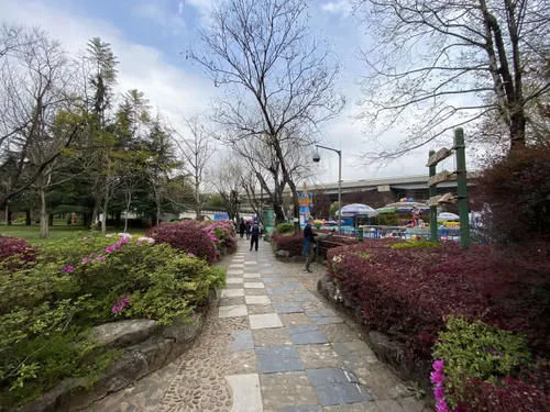 春姑娘来了 昆明这几个公园可以踏春赏花啦【2020热门旅游景点】