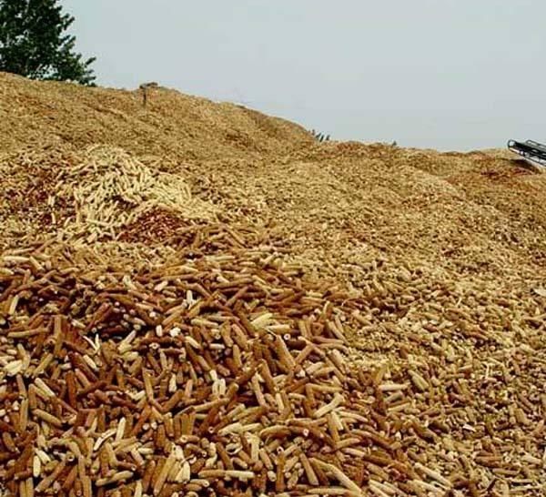  「收购」农村有收购玉米芯的商贩，据说一年能赚20多万，他们收