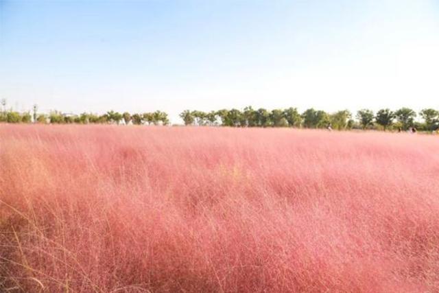 啥网红书店啊还强制消费？老板：以前全是看书的，现在全是拍照的