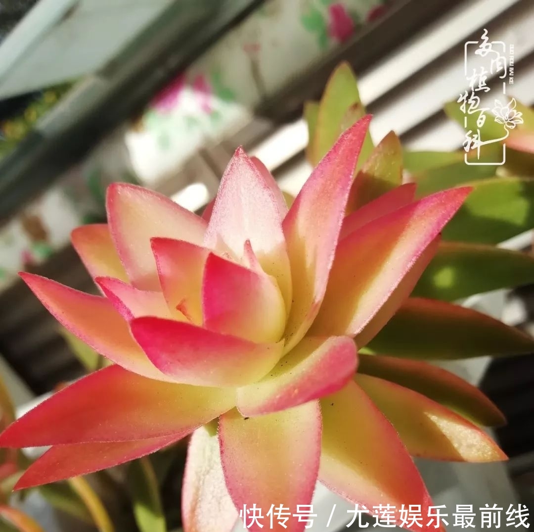 『那种』我爱的,就是你的存在!只要努力该来的都在路上!