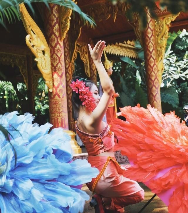 是什么魅力让这么多人自驾去西双版纳过春节，看了你就知道！