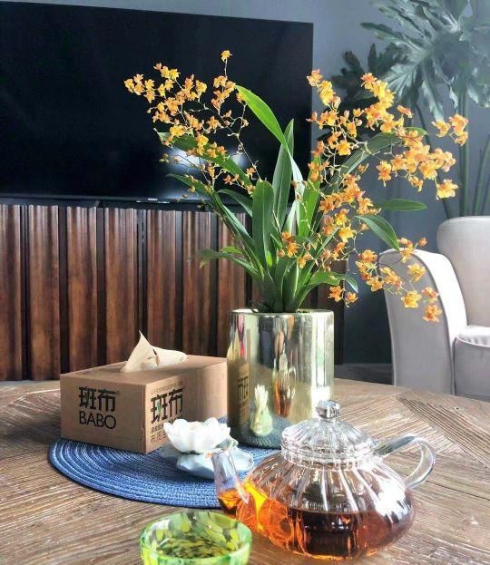 「香水」今年最火的兰花,一棵就能香满屋,比香水好闻多了!