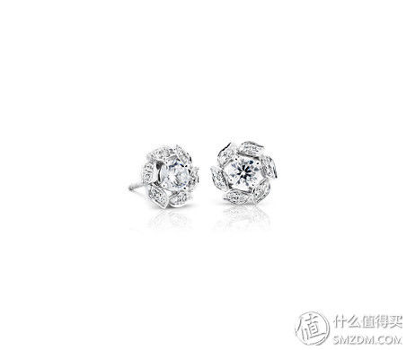 岩石学爱好者的Blue Nile网购攻略下单教程购物心得