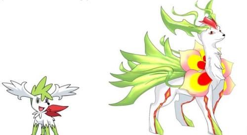 神奇宝贝，当这些神兽还能再进化一次，洁米让人感到惊艳