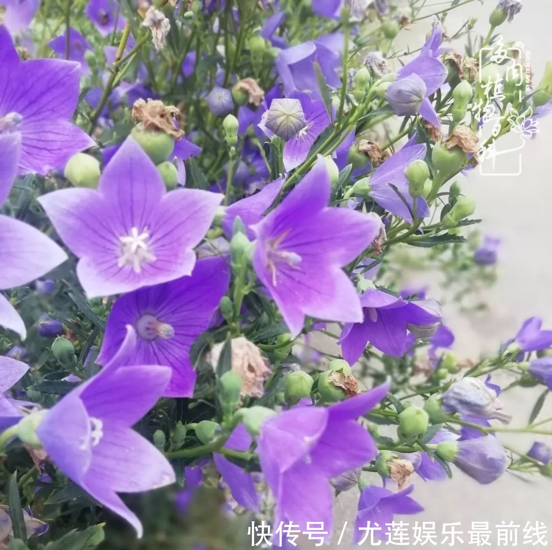 『那种』我爱的,就是你的存在!只要努力该来的都在路上!