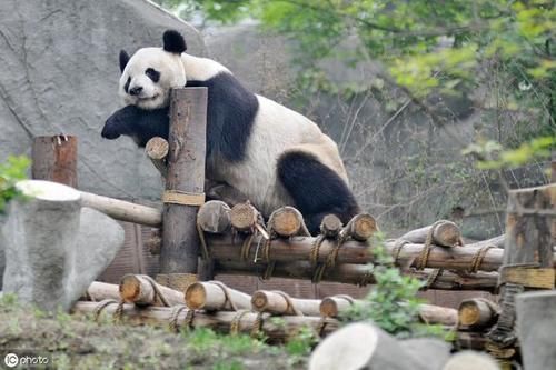 海螺沟，冰火两重天的极致体验，冬季景色很美