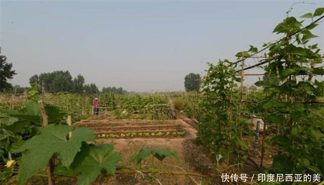  【六十岁】农村承包地期限又延长30年，有些人直到五六十岁都没