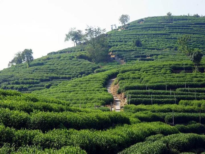 2019杭州最美旅游时间表出炉 承包你一整年的旅行！