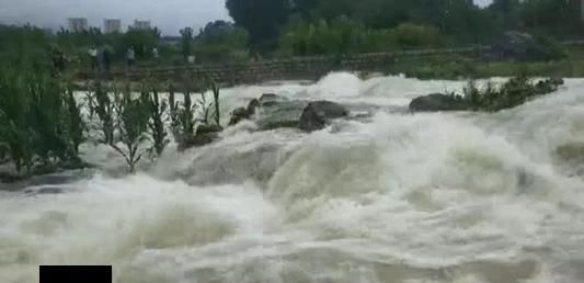 迎战利奇马，违纪干部获免责：给予再次“赶考”的机会，点赞