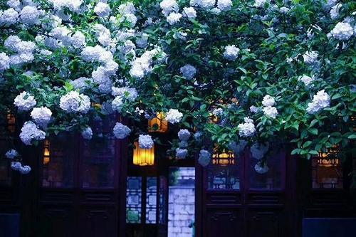 云南，不只是一个地名，更是世人向往的“诗和远方”