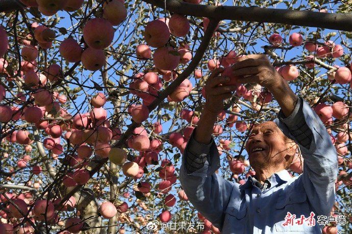  『早春』甘肃省早春蔬菜价稳量足 市场交易正常