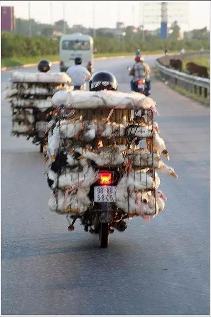  #盘点#盘点一组照片，来欣赏下美丽的越南风景吧！