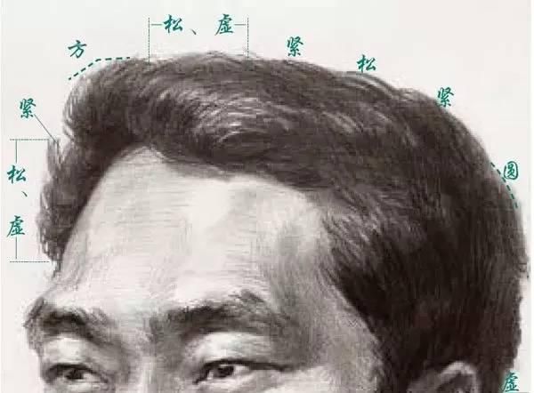 素描头像中头发的处理技巧