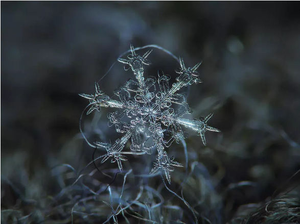 样是拍雪景，这就是摄影师和普通人的差距！