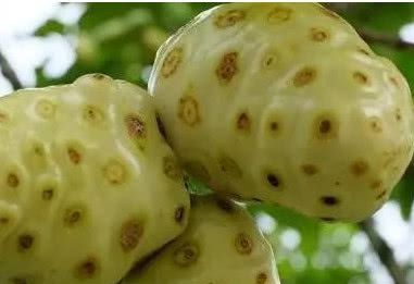 世界上最“奇特”的5种水果，有的都没有见过，全吃过绝对是土豪