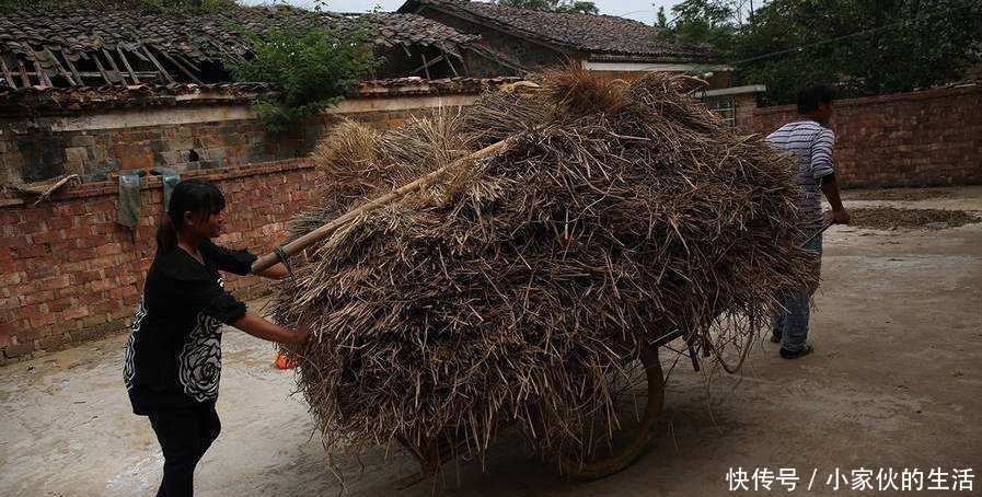  【日子】农村60后70后注意，不想过苦日子的话，记住这3句话，80