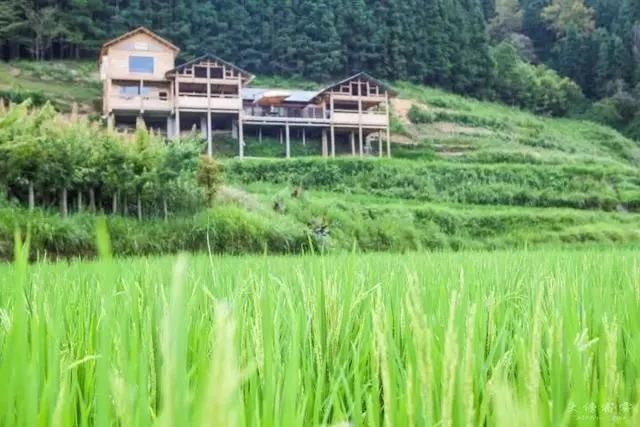  老桥@52岁的他为健康养老，跑大山里盖木屋，过上让人艳羡的生活