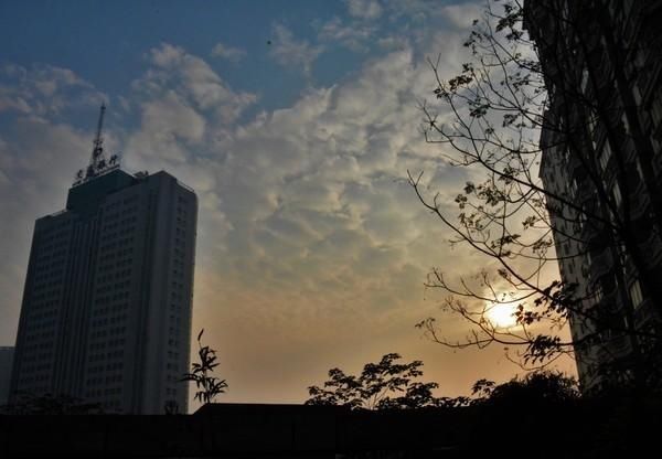  「菠萝蜜」南宁：请打量这夜色