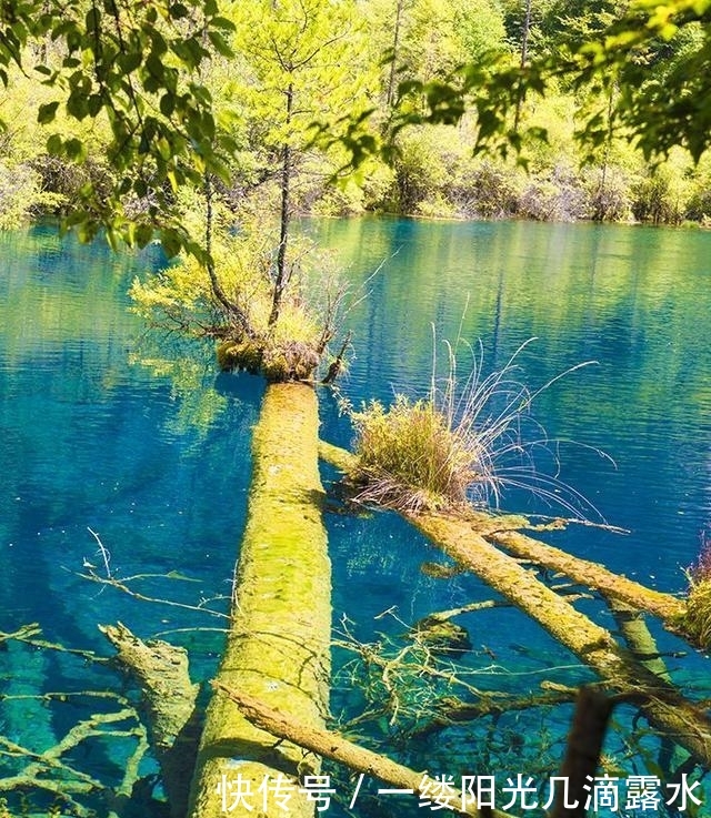 九寨沟何时恢复开放?一个细微的变化,或说明距离开放不远了