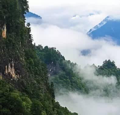 这些和秦岭有关的知识，你知道吗？