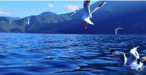 中国“最适合过冬”的地方,年均温度18,不是三亚,你猜是哪?