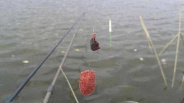  「漂和」带饵调漂分单饵调漂和双饵调漂，那么两种方法各有什么区别呢