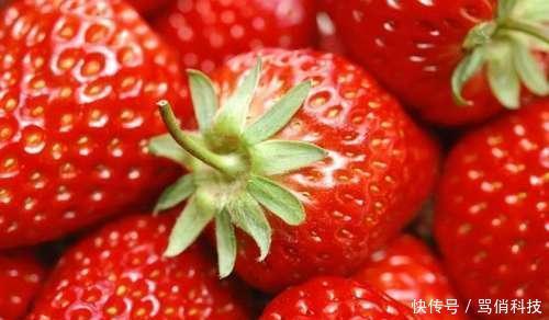  草莓：太有才南充5名大学生发明“神器”，央视用50分钟介绍