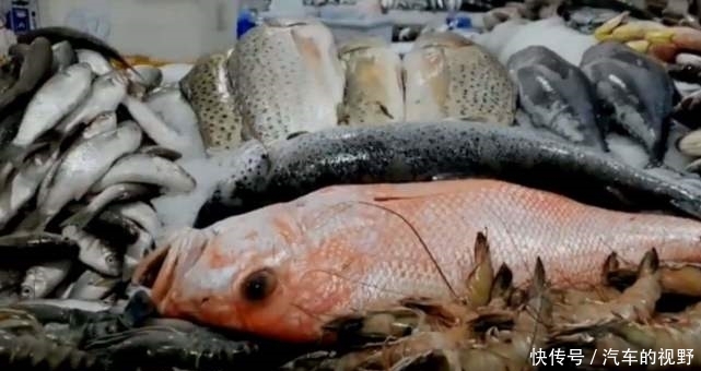 迪拜真的非常富有?来看看他们的菜市场,你就知道迪拜是什么样子