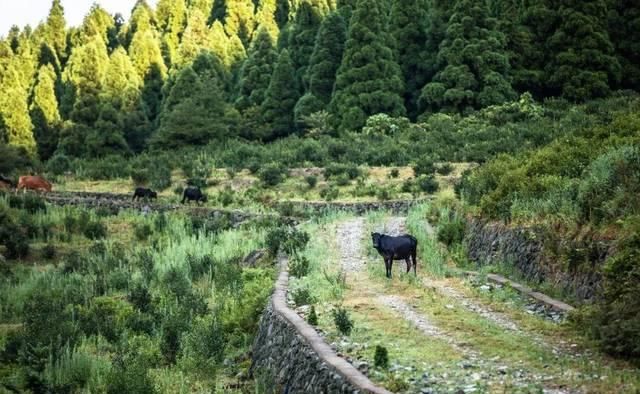  「防范措施」深层 | 乡村旅游开发经营中的错误观念及防范措施