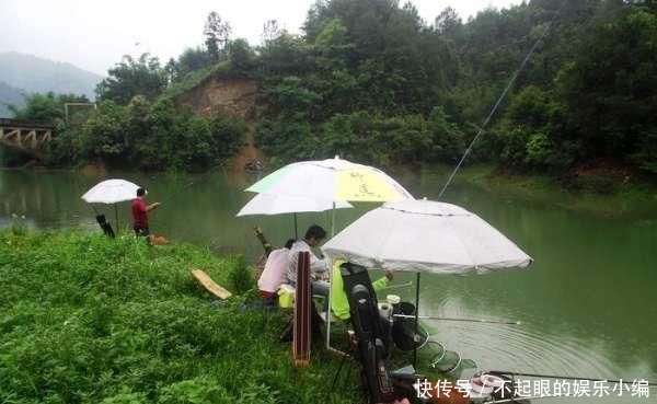 顾不上:野河钓鲫,环境优美,恰似人间天堂,却遭遇“电工”洗劫