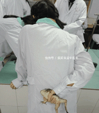  [GIF]搞笑GIF趣图：刘大娘挺爱干净，每次卖纸皮之前都要把它洗一遍…
