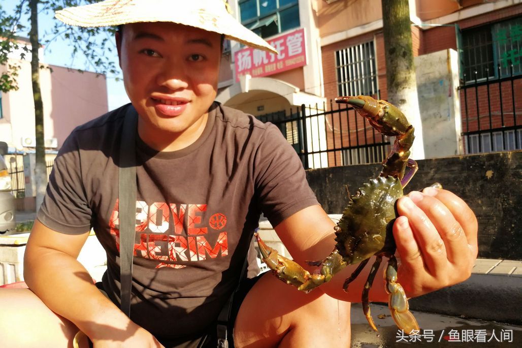 菜市场石蟹打破梭子蟹一统天下 最大60块钱一斤 其他与梭子蟹相仿