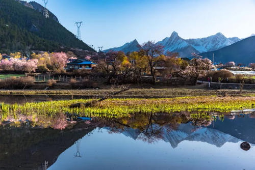 世外桃源般的旷世美景，藏着中国最美的春天