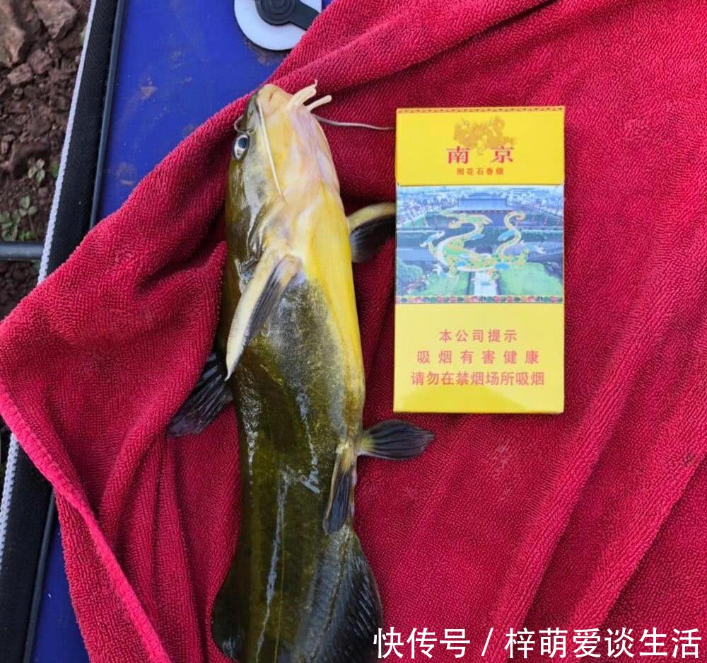  钓友■活了近10年！长江钓起巨型船钉子，钓友从来没见过这么大的