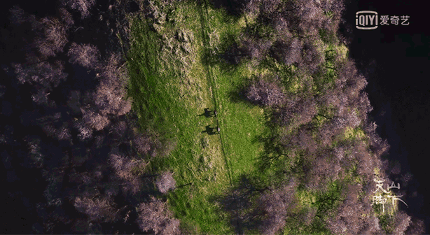 一遇新疆误终身，从此天堂是路人