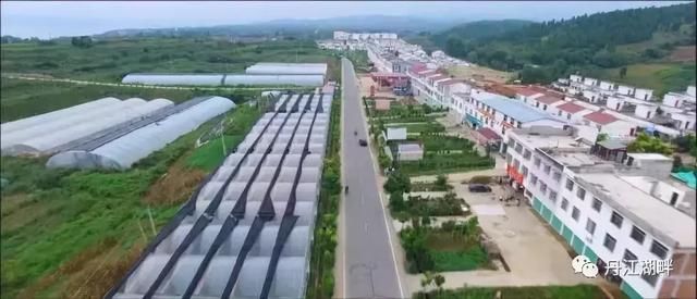 登录查看大图