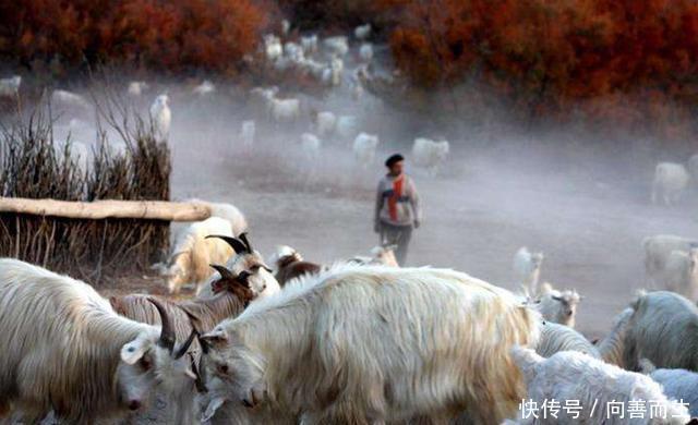 "一片荒漠依靠“输液”变成了湖泊,中国又创造了奇迹!"