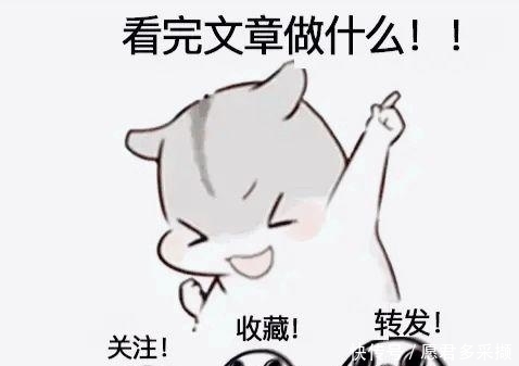  #没想到#没想到手机Type-C除了正反插之外，还有这么多种用途！你知道几个