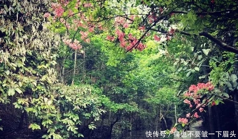 周末将至，走进青山碧水，去这片免费绿色世界吧！