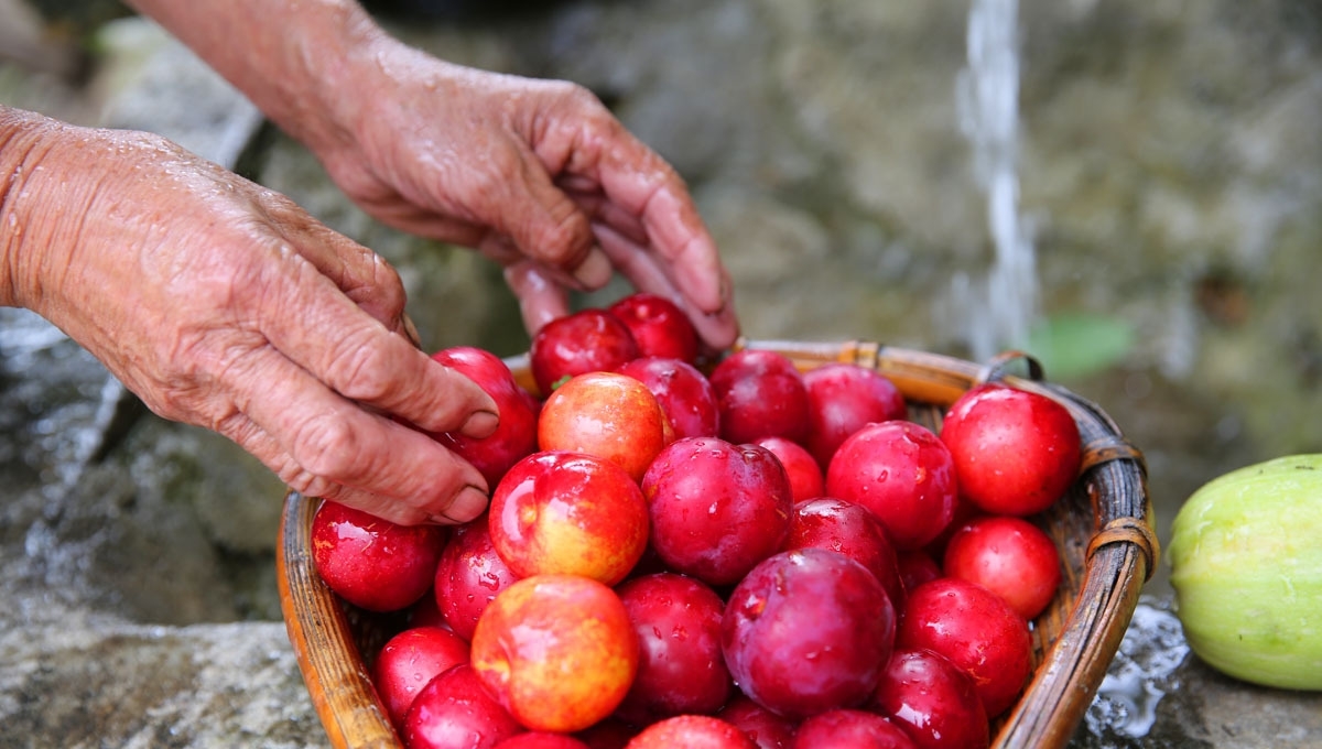 66岁老夫妻留守深山，陪86岁失明老妈，人勤物丰日子越过越好