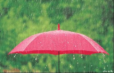  [小麦]今日强对流29日中雨河南登陆！高温飙升38℃，南方大暴雨今日开启