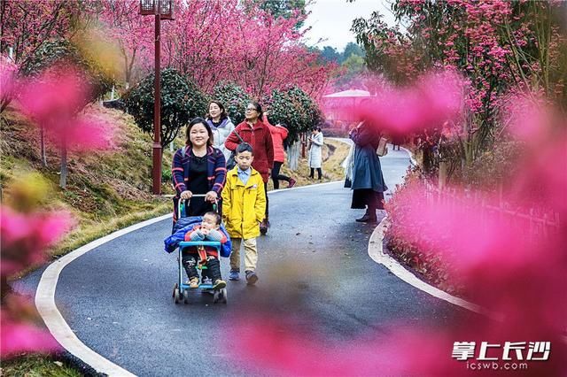  乡村旅游：共享春日好时光 长沙周边星级农庄邀您来踏春