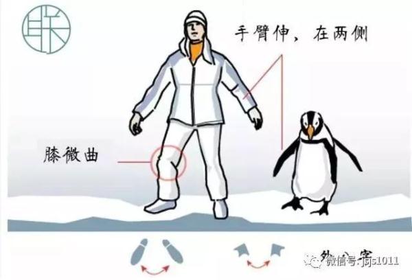 立刻转发！暴雪今天就到！积雪5-8厘米！