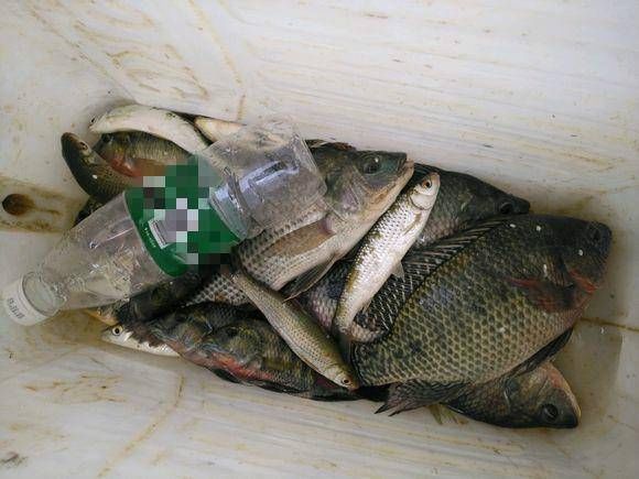  『小时』跋山涉水行进了两个小时，终于到达了钓点，可惜收获不是很好！