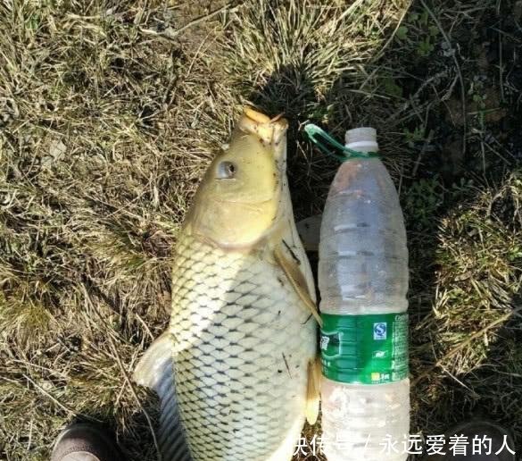  『想想』钓鱼几年从没钓到过大的认真想想，这些细节你是否从没注意过！