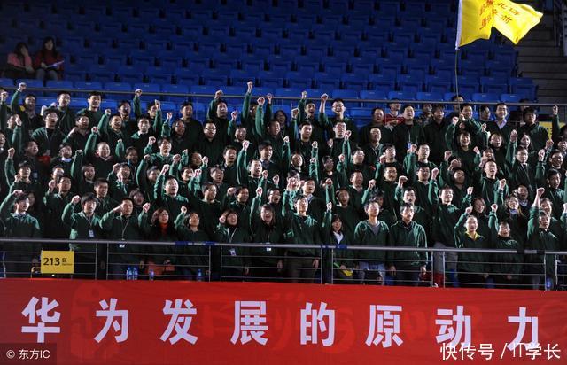 野性华为,华为到底强大在哪里?